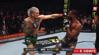 ЗАРУБА ГОДА! Полный бой - Стерлинг vs О'Мэлли UFC 292 Смотреть Прямой Эфир UFC 292.Трансляция UFC. ММА