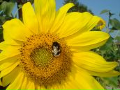 Фотография Васильевны Ольги