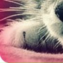 Пєтя Сверба фотография #32 (источник - https://vk.com/id19829246)