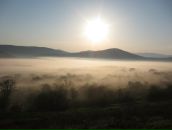 Фотография Логиновской Юлии