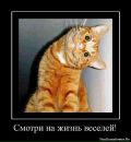 Фотография Кондрашкина Олега