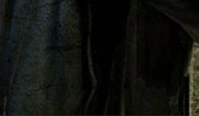 Вася Петя фотография #9 (источник - https://vk.com/id29331749)