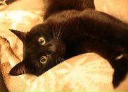 Фотография Vanety Кристины