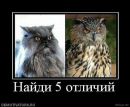 Андрій Жовтко фотография #48 (источник - https://vk.com/id76902260)