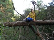 Фотография Ивашнёвой Наташи