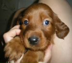 Фотография Маковкиной Марии