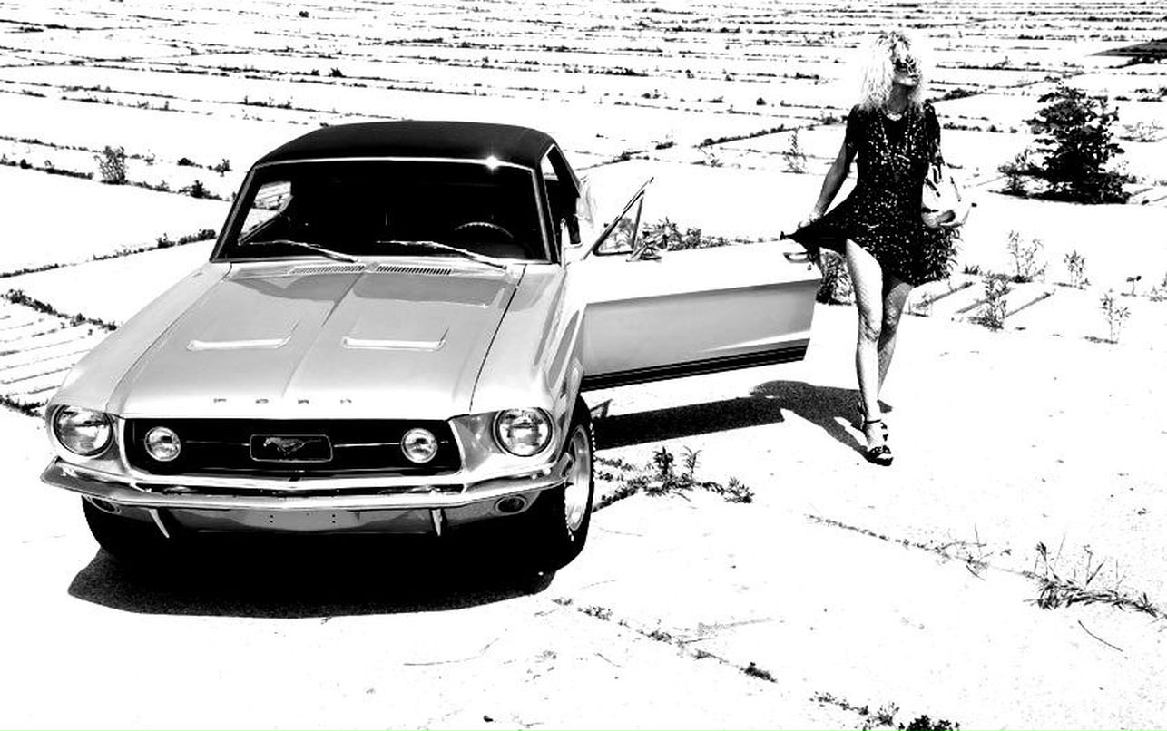 Silver Rocket фотография #37