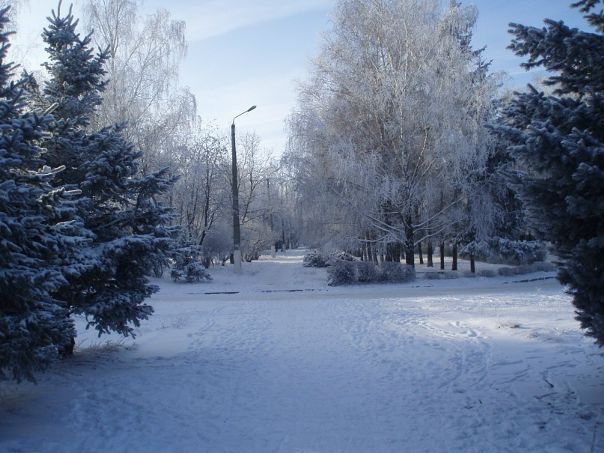 Дмитрий Федосов фото №19