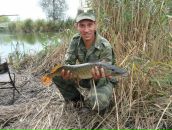 Фотография Ирхина Даша