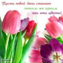 Фотография Лукашук Татьяны