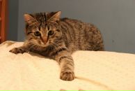 Фотография Фёдоровой Маши