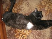 Фотография Ким Елены