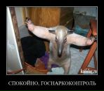 Фотография Нагорянского Никиты
