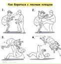 Тарас Тимчій фотография #45 (источник - https://vk.com/id6163682)