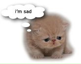 Фотография Цыгановой Ксюши