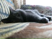 Фотография Амерхановой Галии