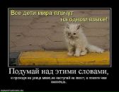 Фотография Смуглый Серега