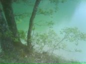 Фотография Суховой Валерии