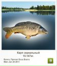 Ігор Дида фотография #2 (источник - https://vk.com/id28154019)