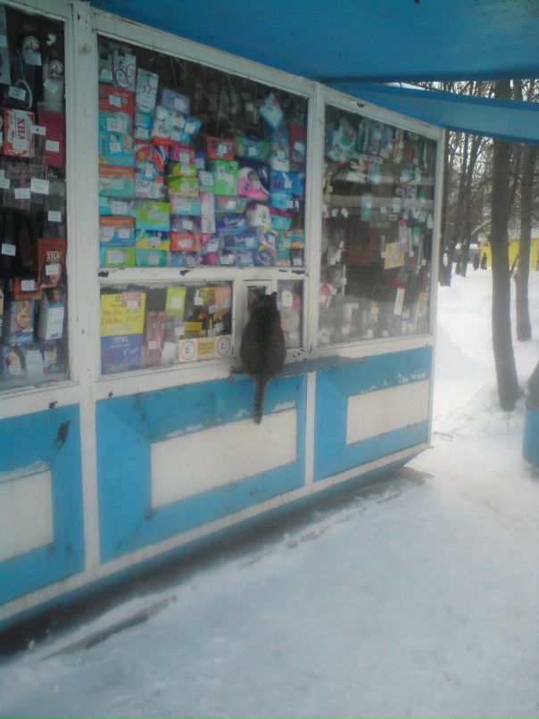 Сергей Табунов фотография #21