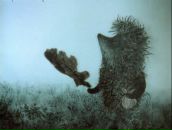 Фотография Косяченко Евгения