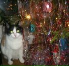 Фотография Ворошковой Виктории