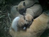 Катя Худзій фотография #32 (источник - https://vk.com/id49638522)