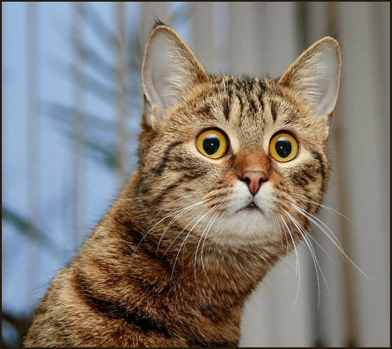 Сергей Каскин фотография #9