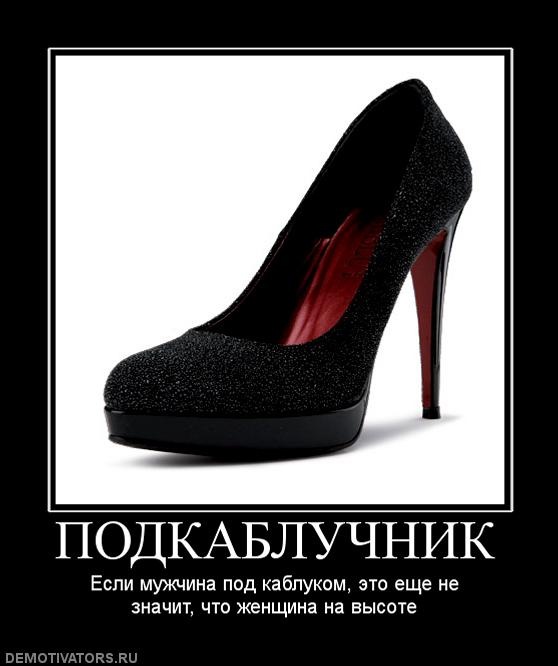 Илья Павлов фотография #6