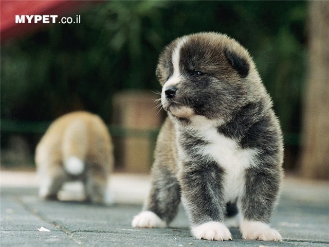 Just Dmitriy фотография #5