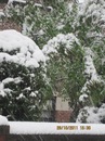 Міша Міклош фотография #4 (источник - https://vk.com/id151053384)
