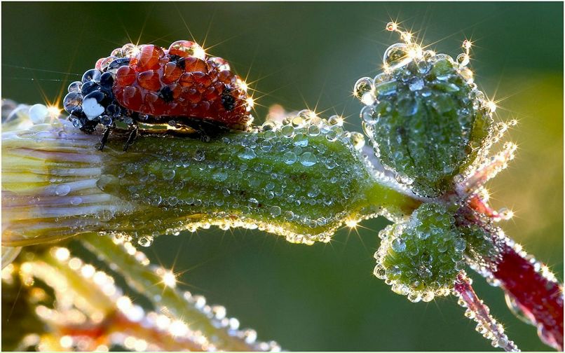 Бэлигма Далаева фотография #47