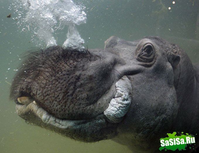 Ильнар Героев фотография #1