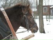 Оксана Тацій фотография #4 (источник - https://vk.com/id93081948)