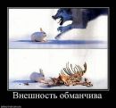Фотография Русланова Руслана