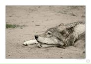 Фотография Ишмухамедова Ильдара