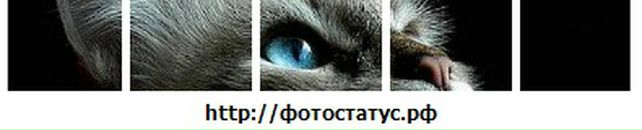 Оля Сімчук фотография #34 (источник - https://vk.com/id61680738)