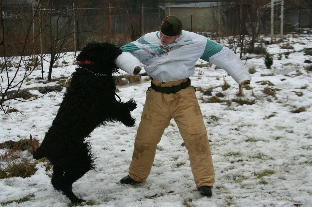 Сергей Пересунчак фотография #11