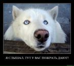 Фотография Федор Шерихов