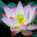 Фотография Голикова Андрея