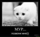 Міша Ткач фотография #4 (источник - https://vk.com/id171192889)