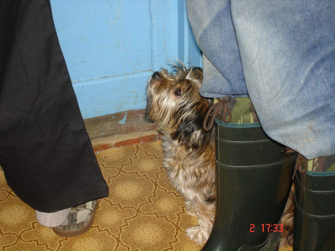 Иван Андреев фотография #25