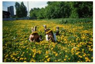 Фотография Поляковой Ольги