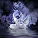 Фотография Размаевой Елены