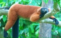 Фотография Ростовцевой Екатерины