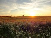 Фотография Косаревой Марии