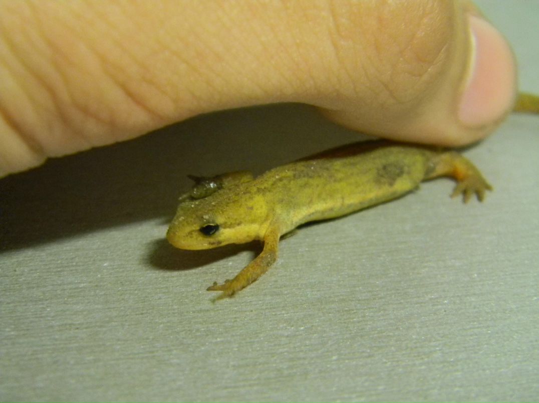 Тёма Крючков фотография #33