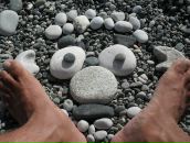 Фотография Варнавская Ксения