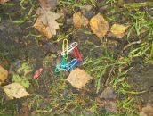 Фотография Кириченко Бориса