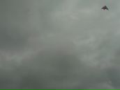 Фотография Федосеева Виктора